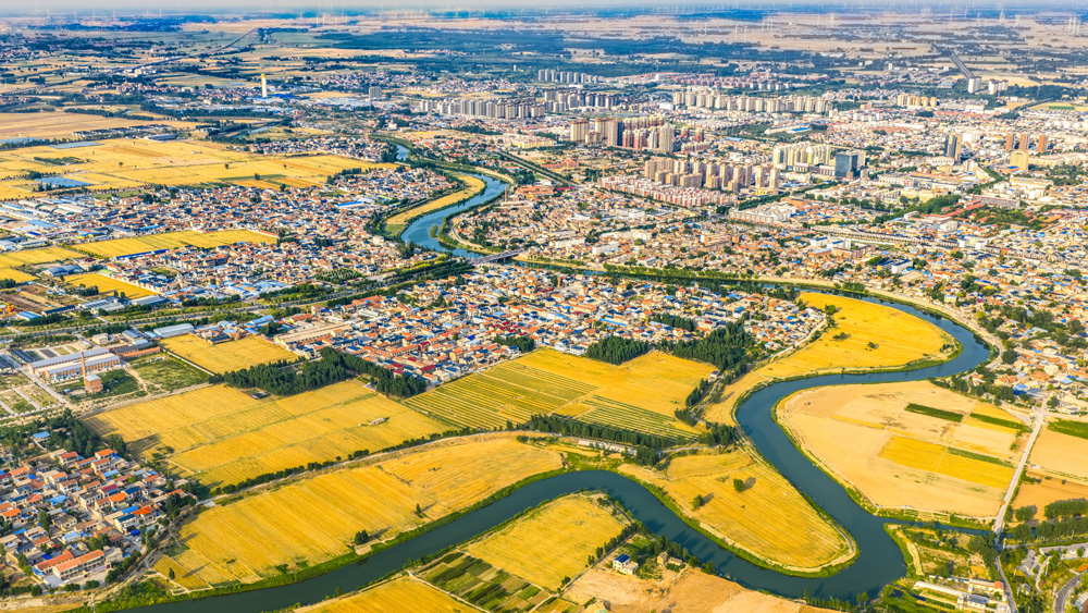 道口-李国臣-13700712886《运河古韵，豫北华章》拍摄于2025年6月22日，地点为大运河滑县段。俯瞰豫北大地，古老运河如丝带蜿蜒，串起金黄田野与错落村镇。建筑错落、田园铺展，在时代光影