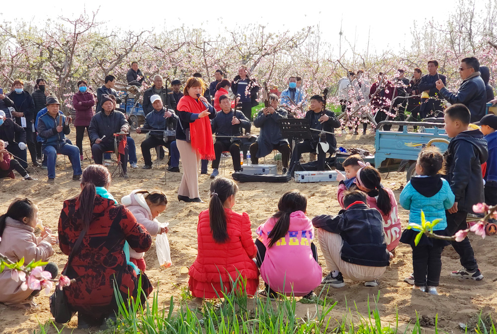 滑县-郭社花-13653724688-《桃园戏迷》2020年3月拍摄于滑县四间房镇大芬村，桃花盛开，农村戏迷自发组织在桃园表演节目。