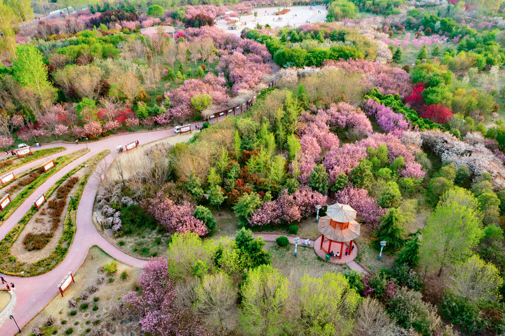 滑县-张伟15515167266《春到瓦岗寨》2024年3月拍摄于滑县瓦岗寨景区。